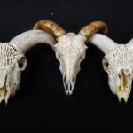 Philippine Bone Carving: Transforming Animal Bones Into Intricate Artworks