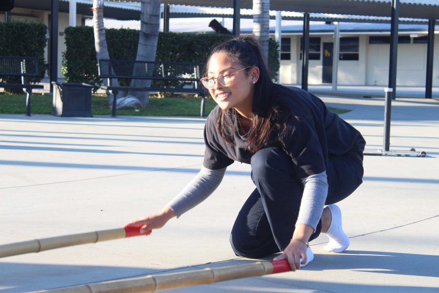 Why Learn the Basic Steps of Tinikling Dance?