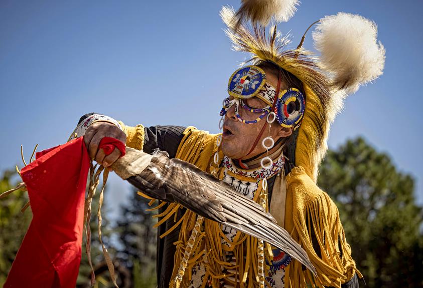 traditional warrior dance form